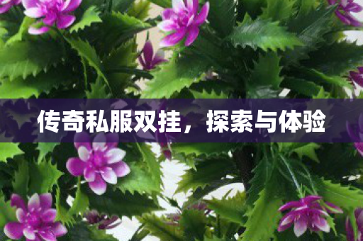 传奇私服双挂图片