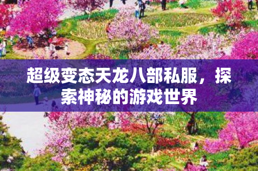 超级变态天龙八部私服图片
