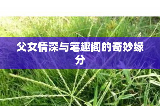 父女情深与笔趣阁的奇妙缘分图片