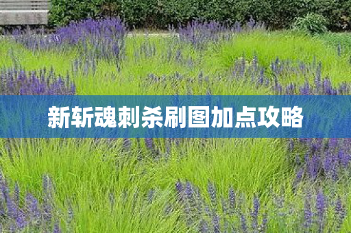 新斩魂刺杀刷图加点攻略图片