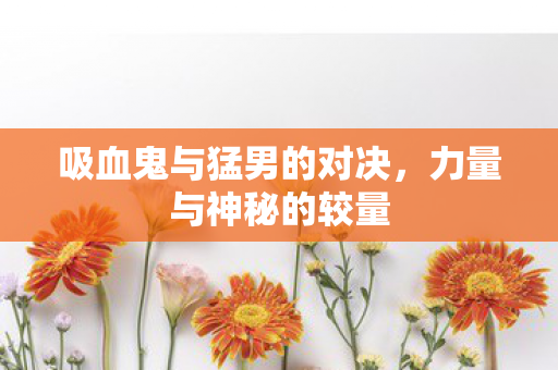 吸血鬼与猛男的对决图片