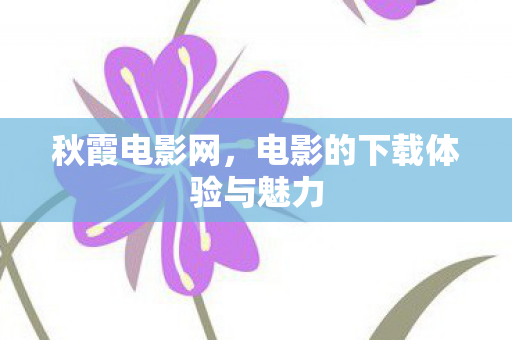 电影的下载体验与魅力图片