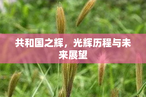 光辉历程与未来展望图片
