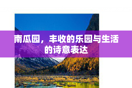 丰收的乐园与生活的诗意表达图片
