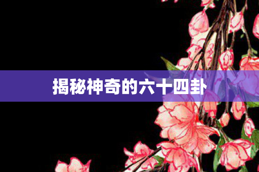 揭秘神奇的六十四卦图片