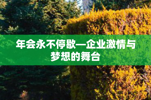 企业激情与梦想的舞台图片