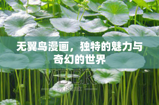 独特的魅力与奇幻的世界图片