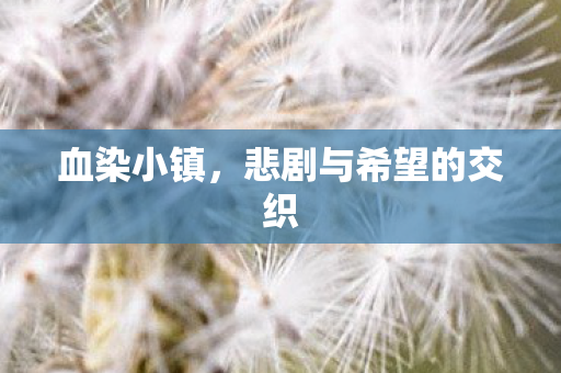 悲剧与希望的交织图片