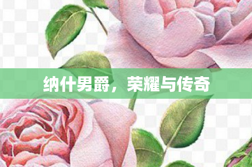 荣耀与传奇图片