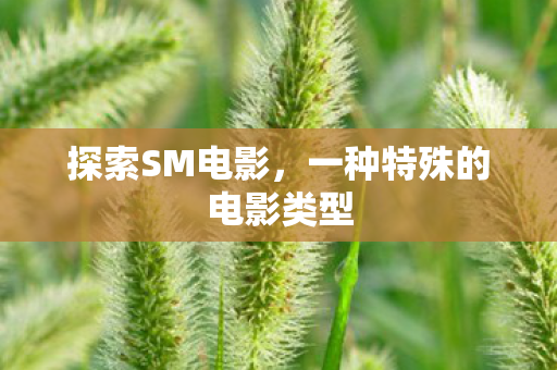 一种特殊的电影类型图片