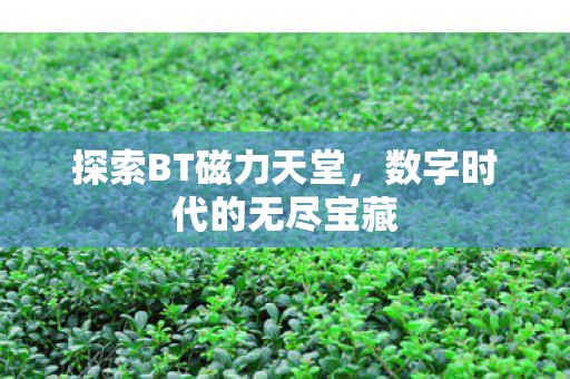 数字时代的无尽宝藏图片