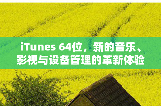 影视与设备管理的革新体验图片