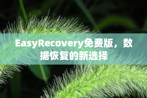 EasyRecovery免费版图片