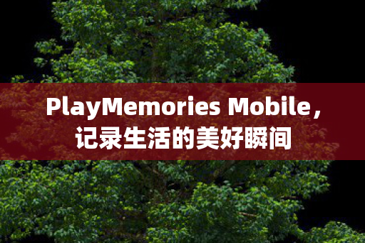 PlayMemories Mobile图片
