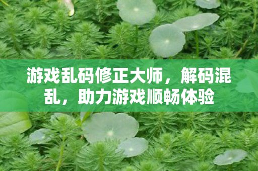 游戏乱码修正大师图片