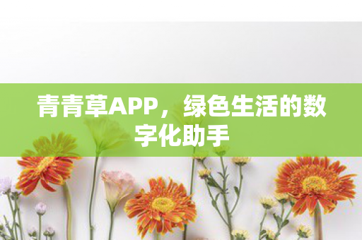 绿色生活的数字化助手图片