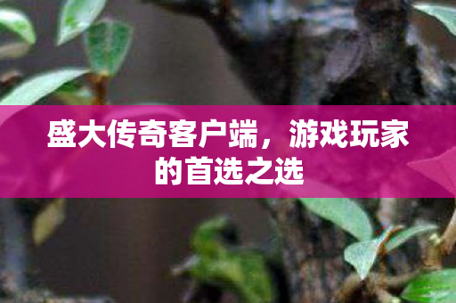 游戏玩家的首选之选图片