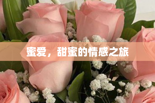 甜蜜的情感之旅图片