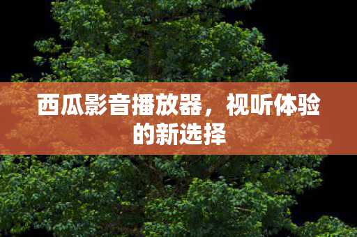 视听体验的新选择图片