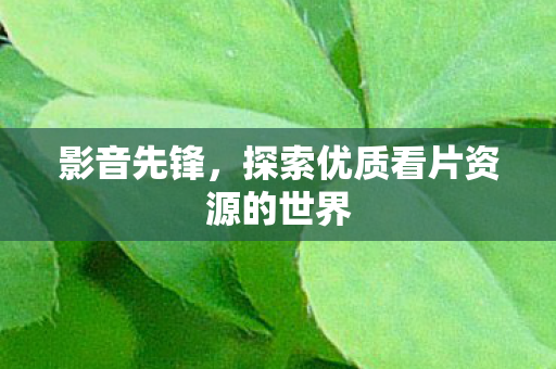 探索优质看片资源的世界图片