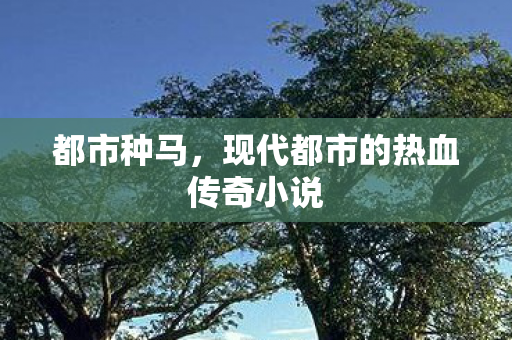 现代都市的热血传奇小说图片