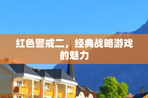 经典战略游戏的魅力图片