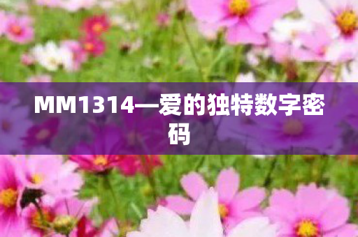 爱的独特数字密码图片