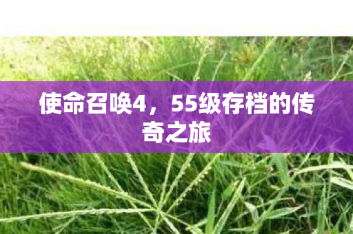 55级存档的传奇之旅图片