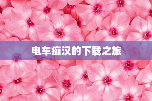 电车痴汉的下载之旅图片