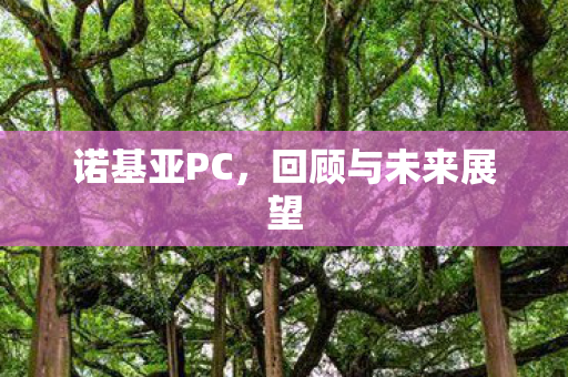 回顾与未来展望图片