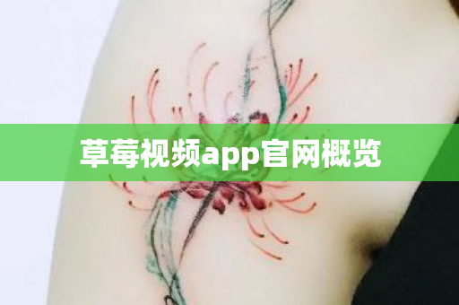 草莓视频app官网概览图片
