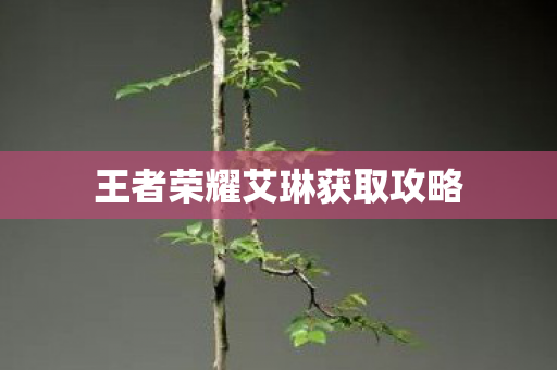 王者荣耀艾琳获取攻略图片