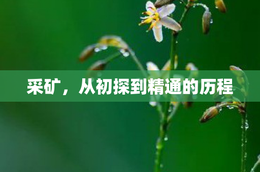 从初探到精通的历程图片