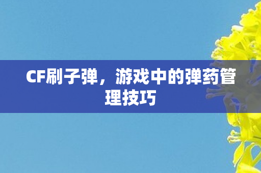 游戏中的弹药管理技巧图片