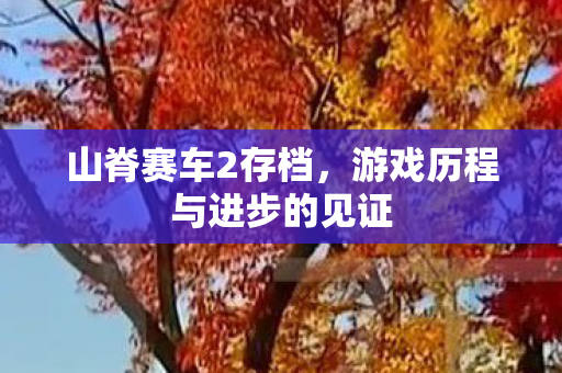 游戏历程与进步的见证图片