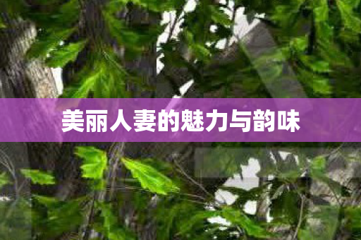 美丽人妻的魅力与韵味图片