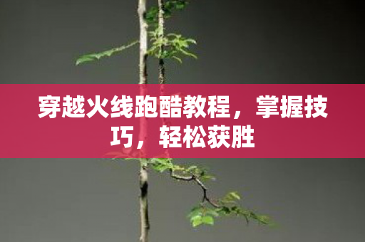 穿越火线跑酷教程图片