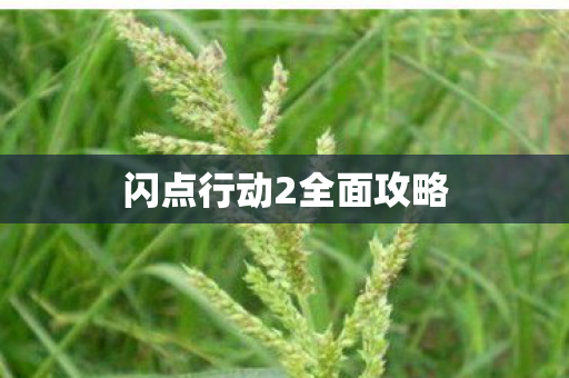 闪点行动2全面攻略图片