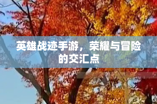荣耀与冒险的交汇点图片