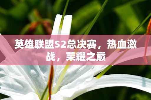 英雄联盟S2总决赛图片