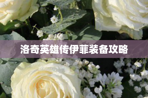 洛奇英雄传伊菲装备攻略图片