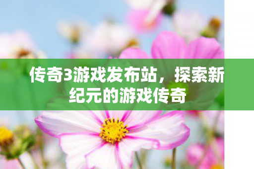 探索新纪元的游戏传奇图片