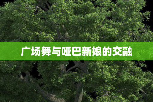 广场舞与哑巴新娘的交融图片