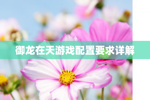 御龙在天游戏配置要求详解图片