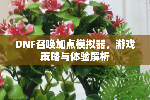 DNF召唤加点模拟器图片