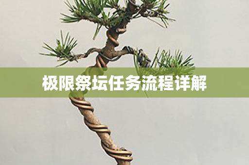 极限祭坛任务流程详解图片