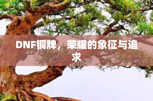 荣耀的象征与追求图片
