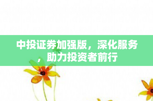 中投证券加强版图片
