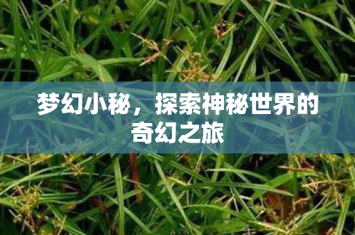 探索神秘世界的奇幻之旅图片