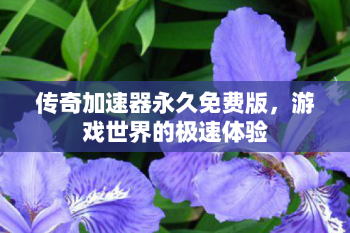 传奇加速器永久免费版图片